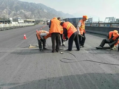 延平道路桥梁病害治理